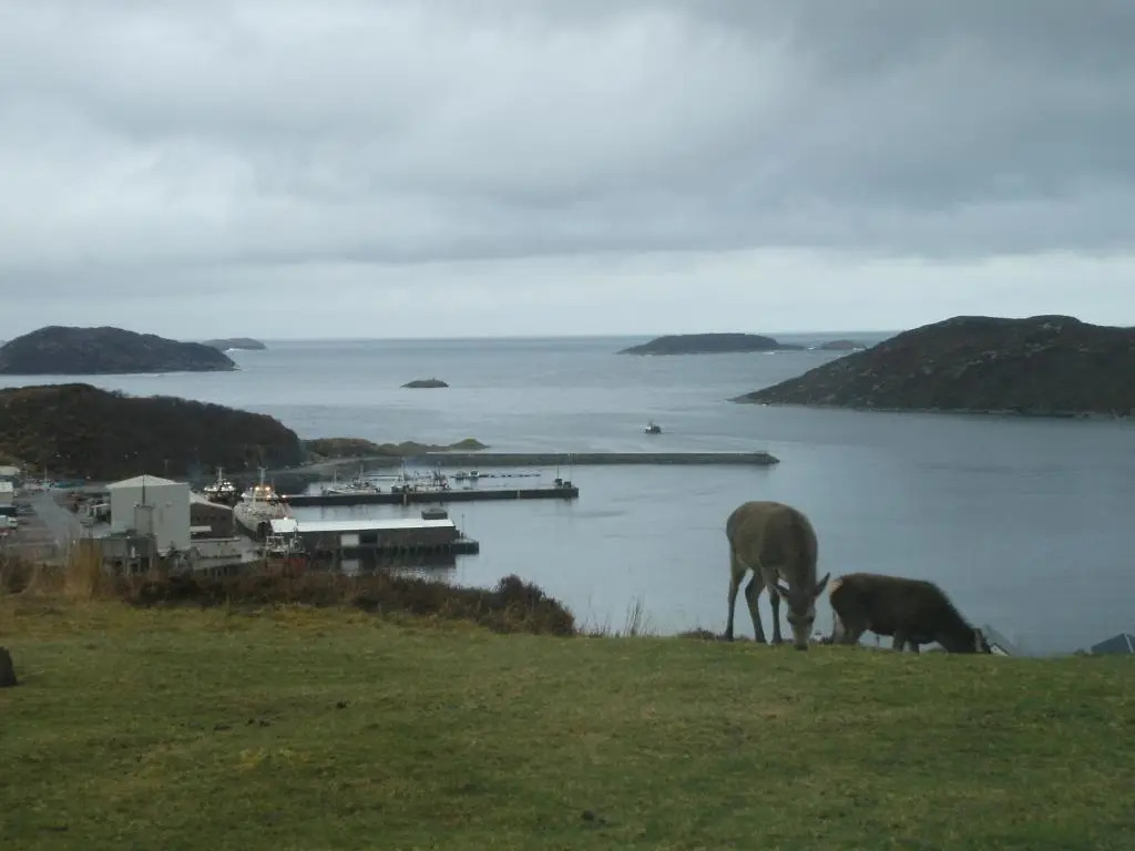 Inver Lodge