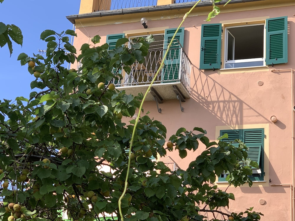 House Blue Sky