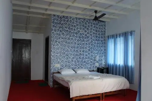 Ayur clinic