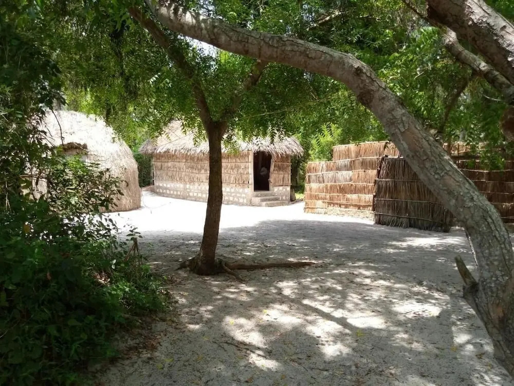 Mida Creek Eco Camp - lodge