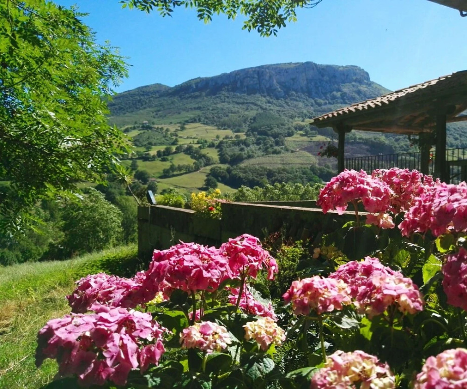 Finca Artienza