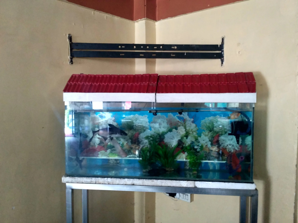 Hotel Honey Lodging