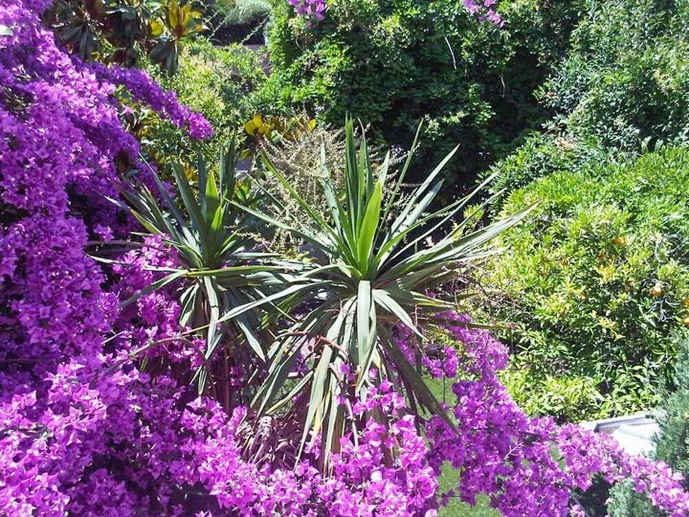 Villa With 7 Bedrooms in Cannes, With Wonderful City View, Furnished G