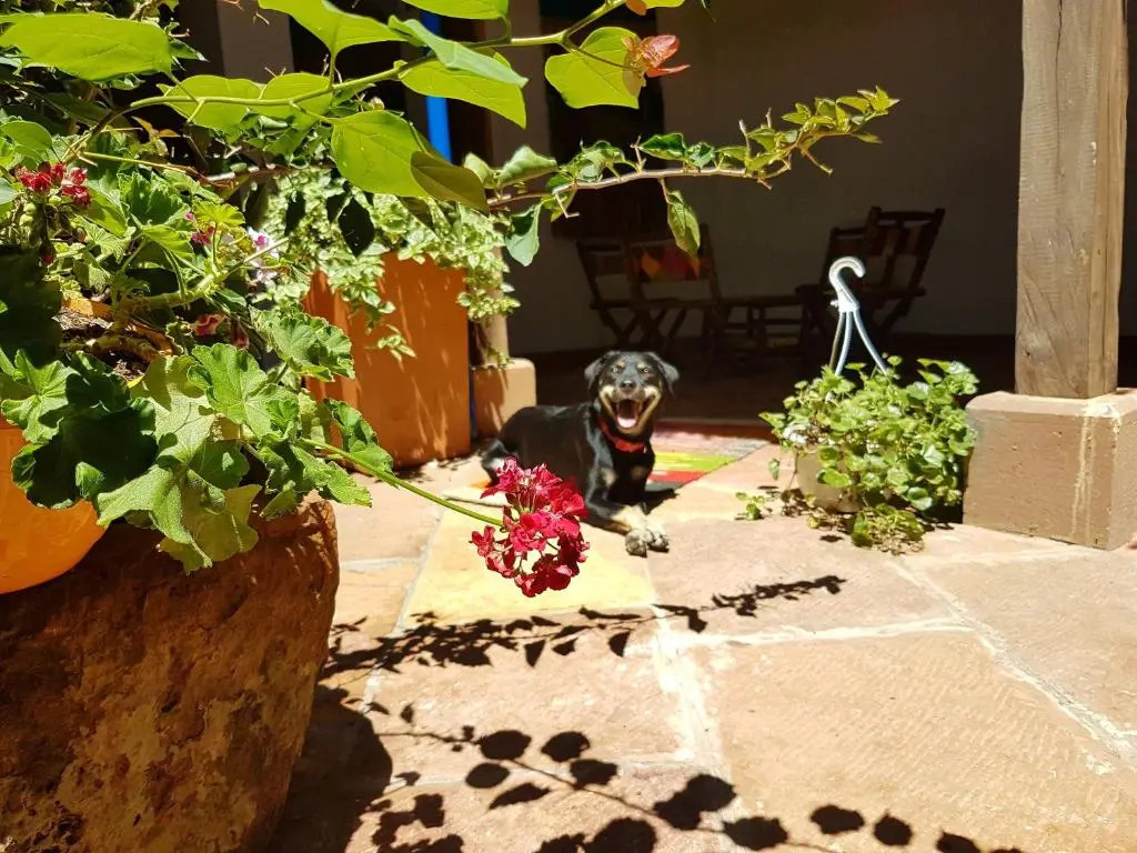 Meraki Boutique Hostel