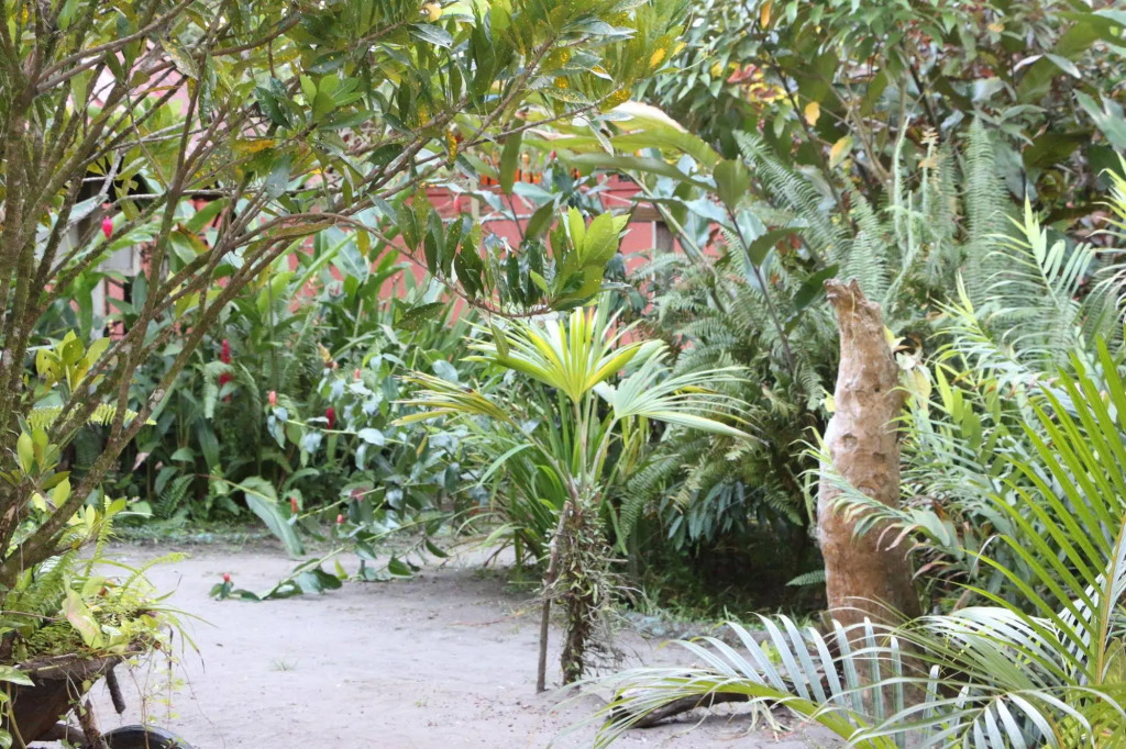 La Casona de Tortuguero