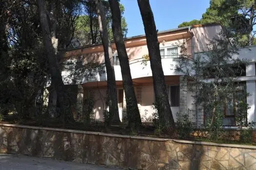 Diana & Josip Mobile Homes