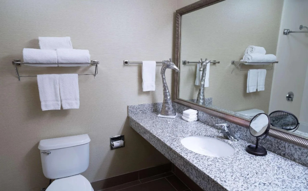 Comfort Inn at the Zoo Omaha