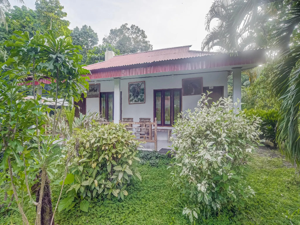 Tangkoko Jungle Homestay