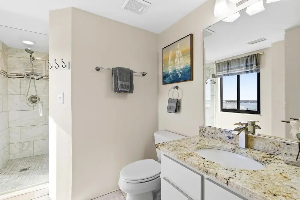 Sand Dollar 1105
