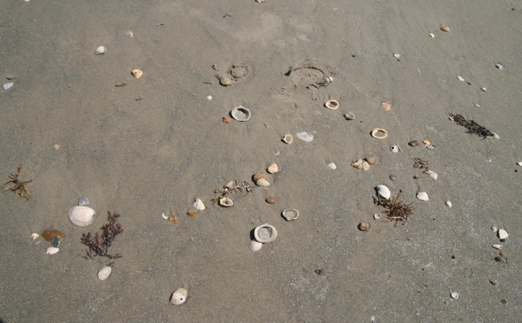 Hampton Inn & Suites Galveston