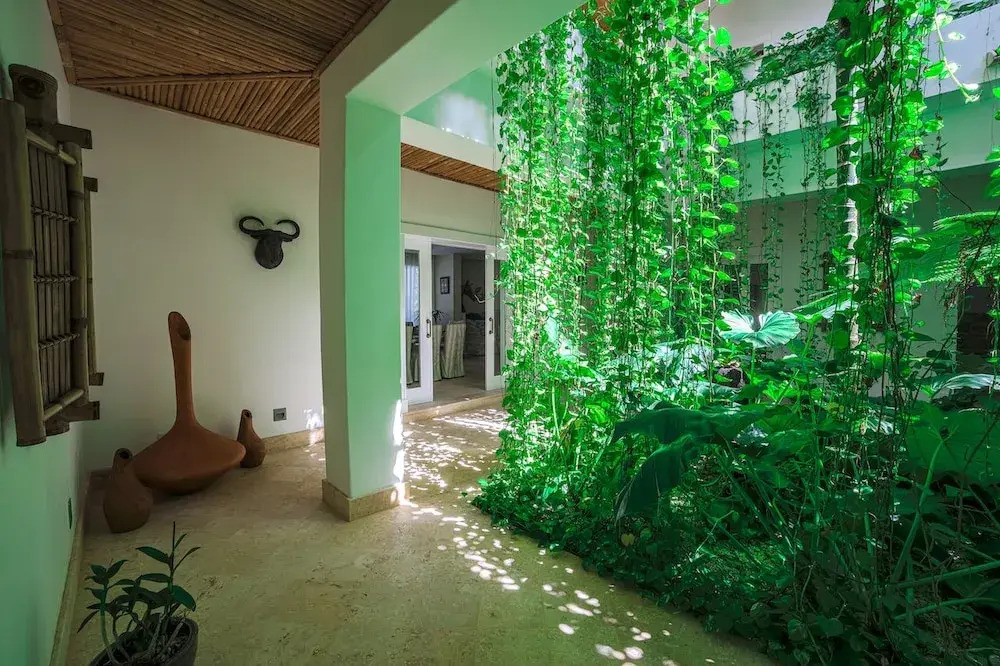 Hacienda B-03