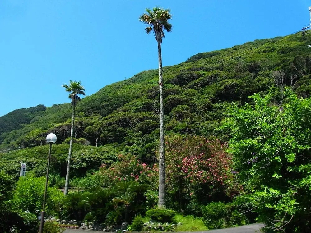 Misaki Kanko Hotel