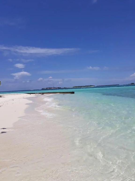 Hibiscus Holidays