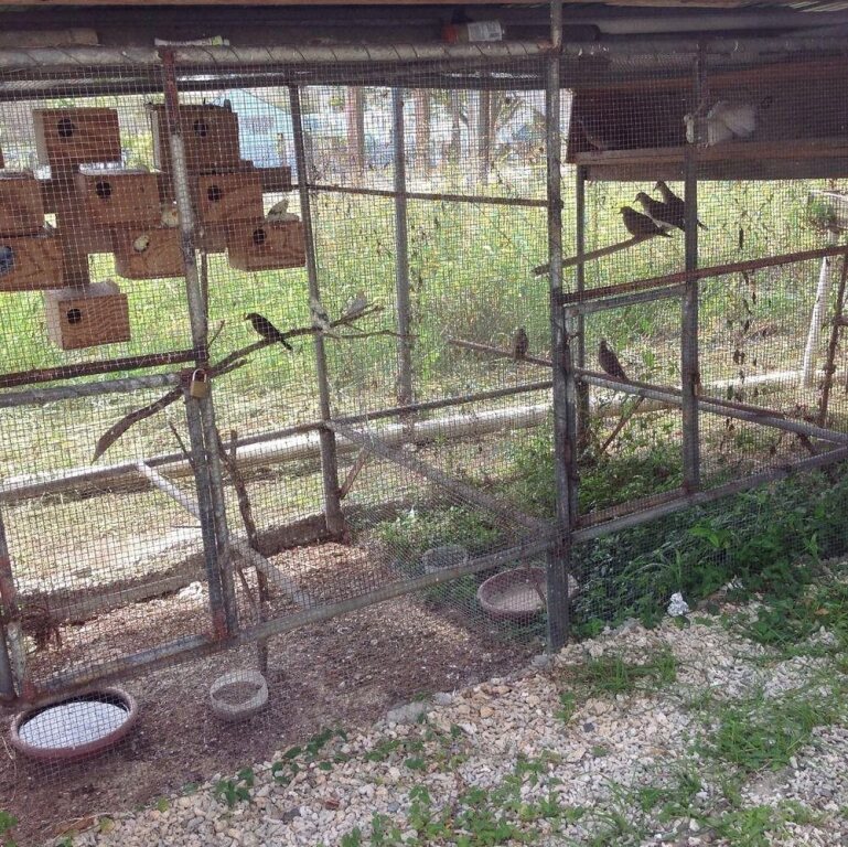 Walker's Holiday Apartment