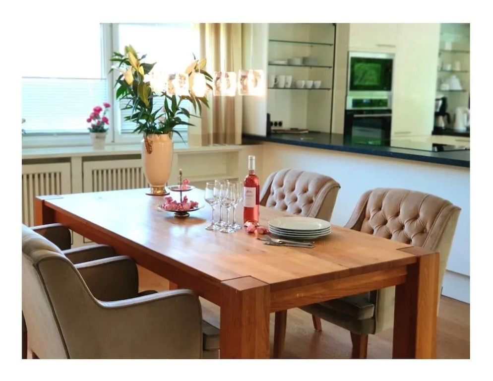 Penthouse at the Museumsberg