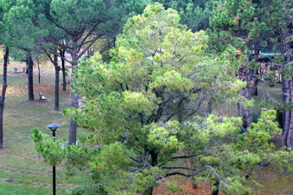 Big Apartment With Terrace - Stunning Residence Big Pool, Tennis, Volleyball