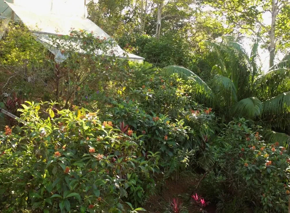 Triple Room With sea and Mountain Views Perfecto for Couples