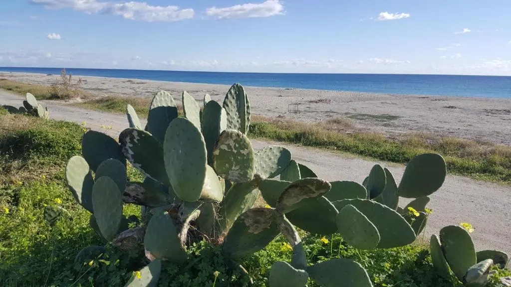Magna Grecia B&B e Appartamenti