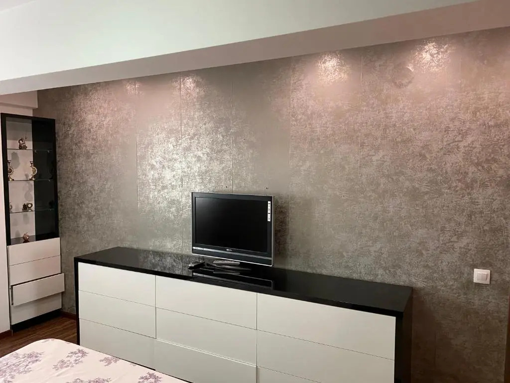 Cosmin Apartament Sondelor 4