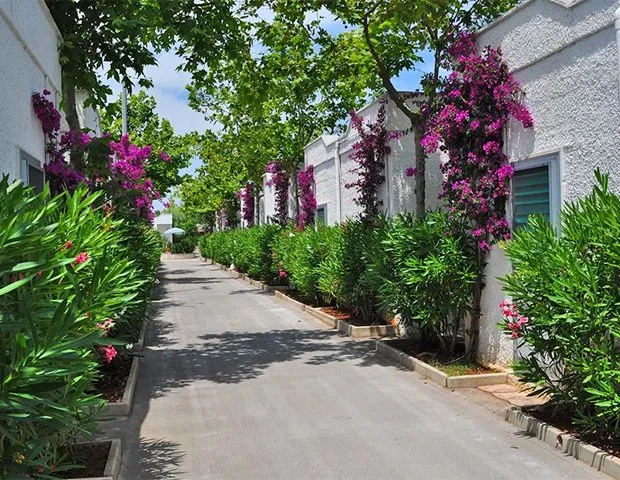 Villaggio Oasi Le Dune Resort