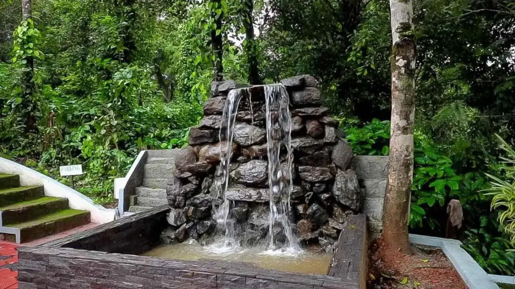 Young Island - Coorg