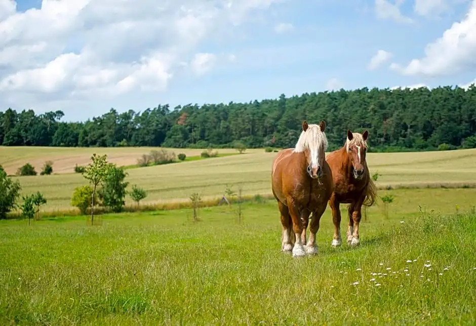 Golchener Hof - Familienhotel & Bauernhofurlaub in Mecklenburg