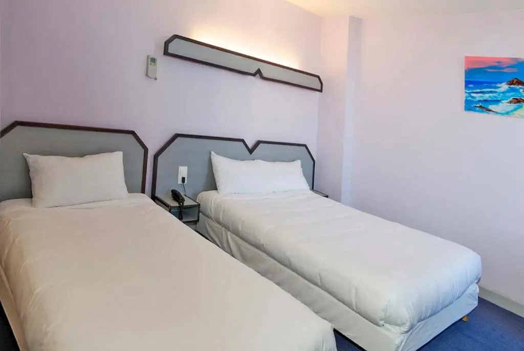 Hôtel Du Vigan