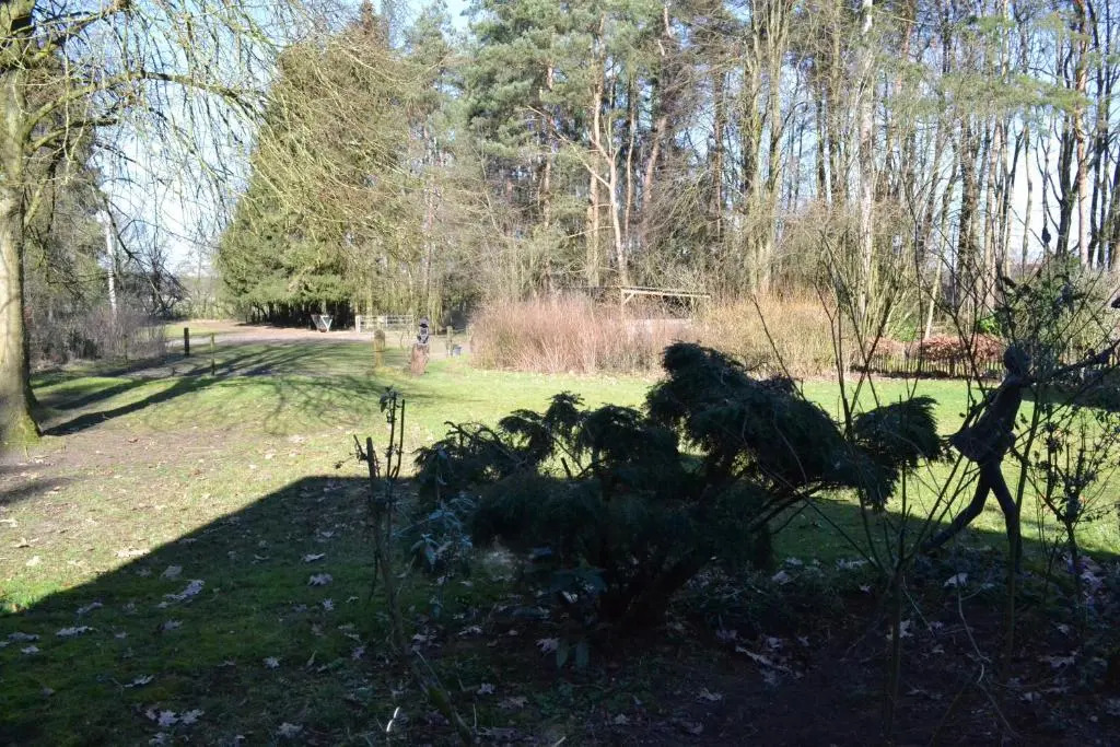 De Hooge Woeste