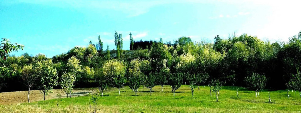 Tenuta Valdorso