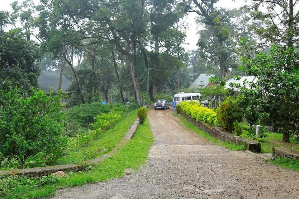 RaaRees Mist Resort