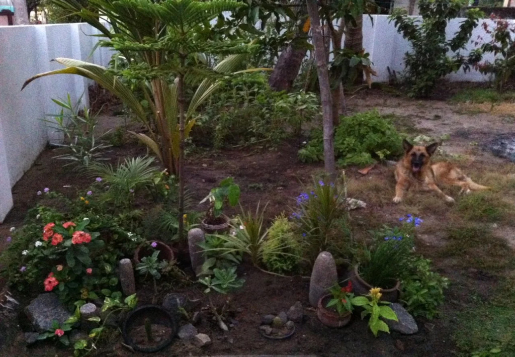 Francis Homestay