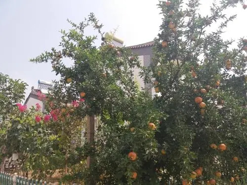 Hua She Hostel