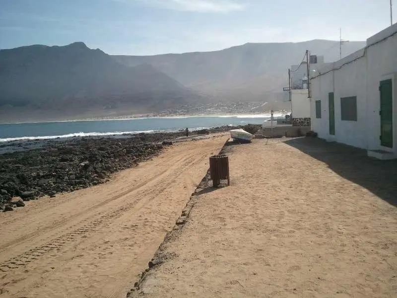 Beachpalm