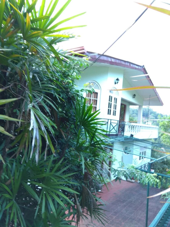 43 Homestay