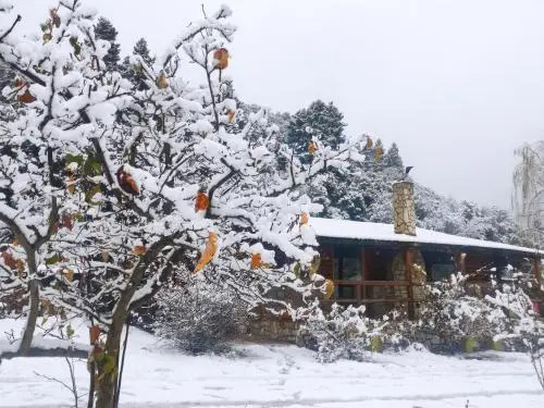Chalet 1 Bedroom 1 Bathroom - Kalavryta