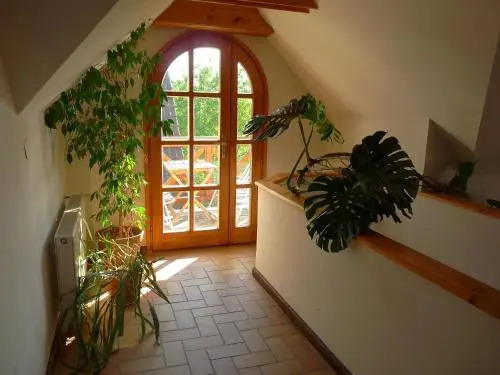 Aranyház Apartmanszállás