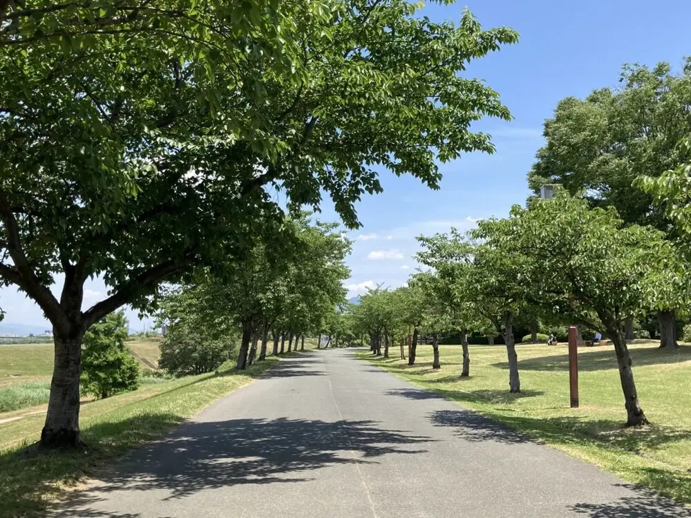 Toyoko Inn Nishitetsu Kurume eki Higashi guchi