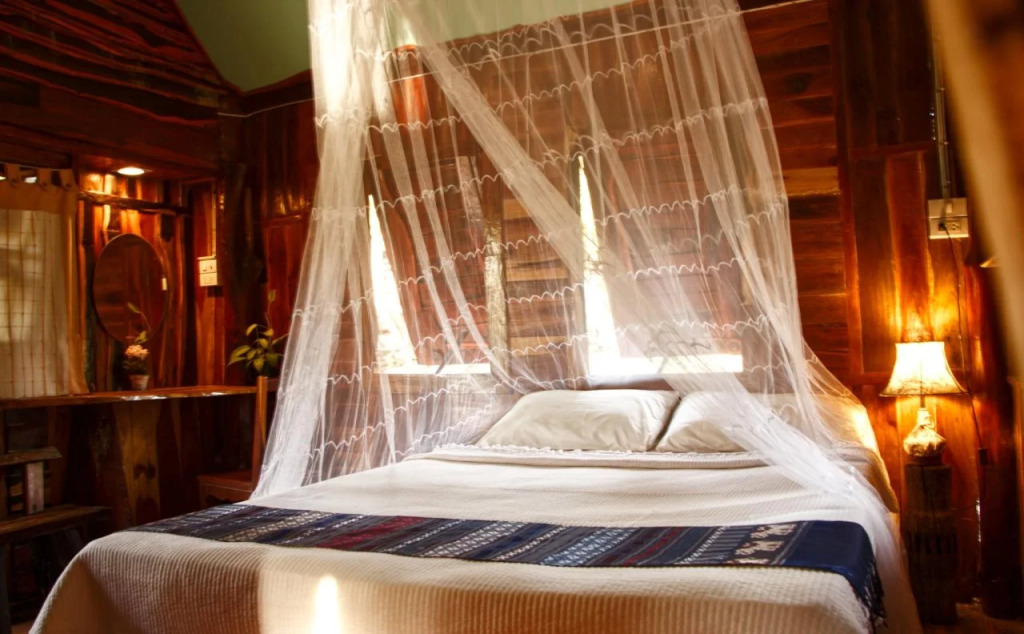 Civilized Garden Homestay