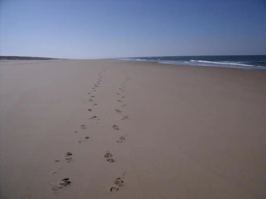 Location Landes Mimizan Plage