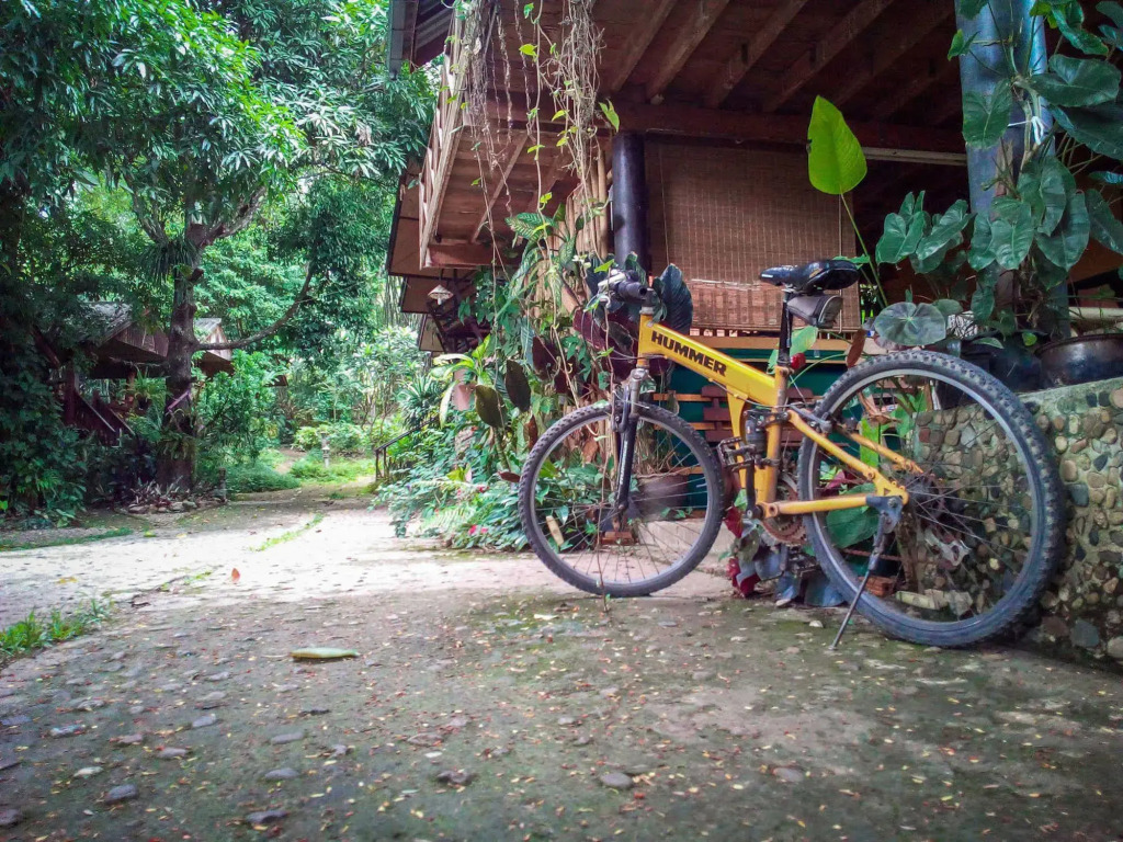 Misty View Guesthouse
