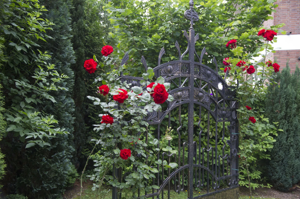 Boutiquehotel Dreesen - Villa Godesberg