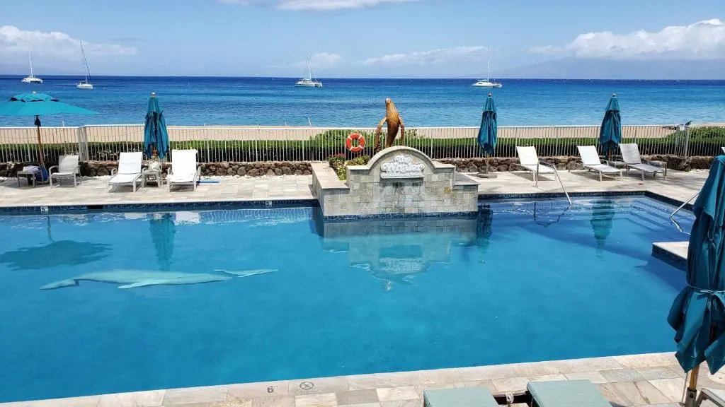 Maui Westside Presents- The Whaler 319