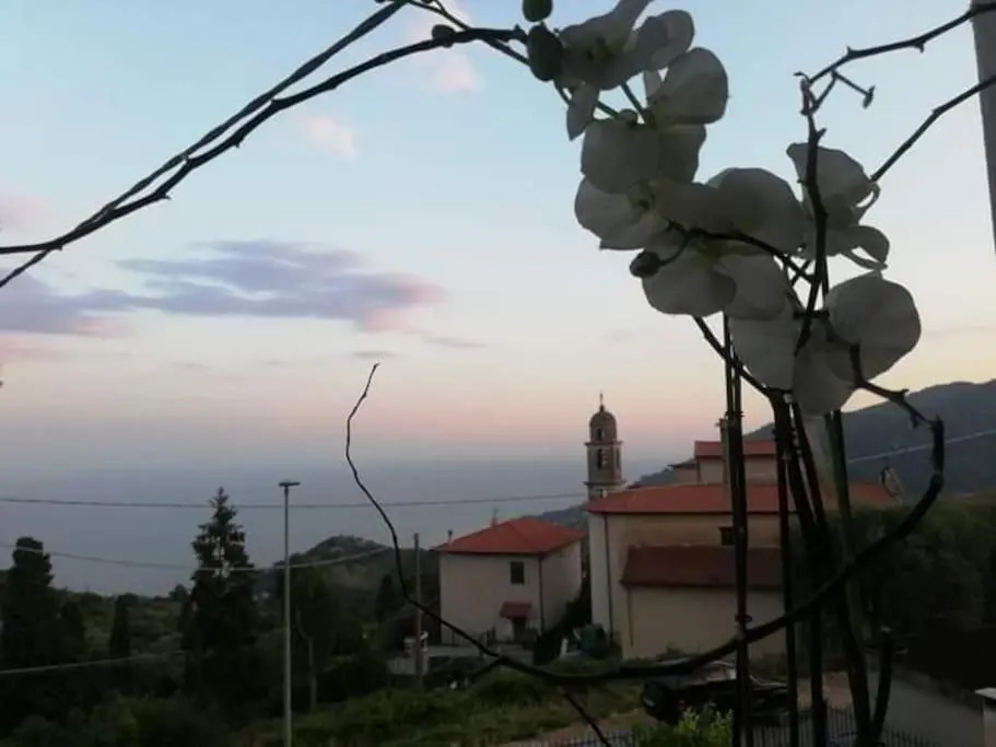 Dolci risvegli appartamento vista mare