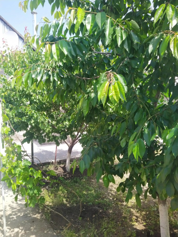 Vanand Guest House