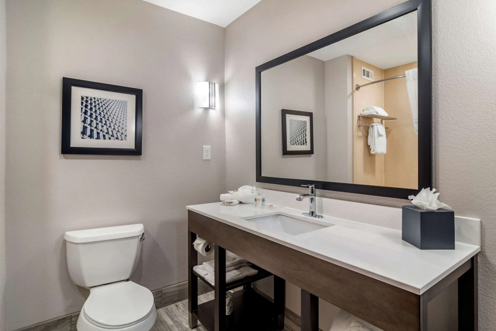 Comfort Suites McDonough Atlanta South