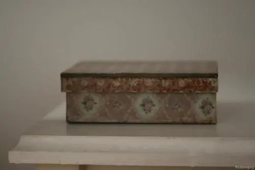 La Tortue de Leonardo