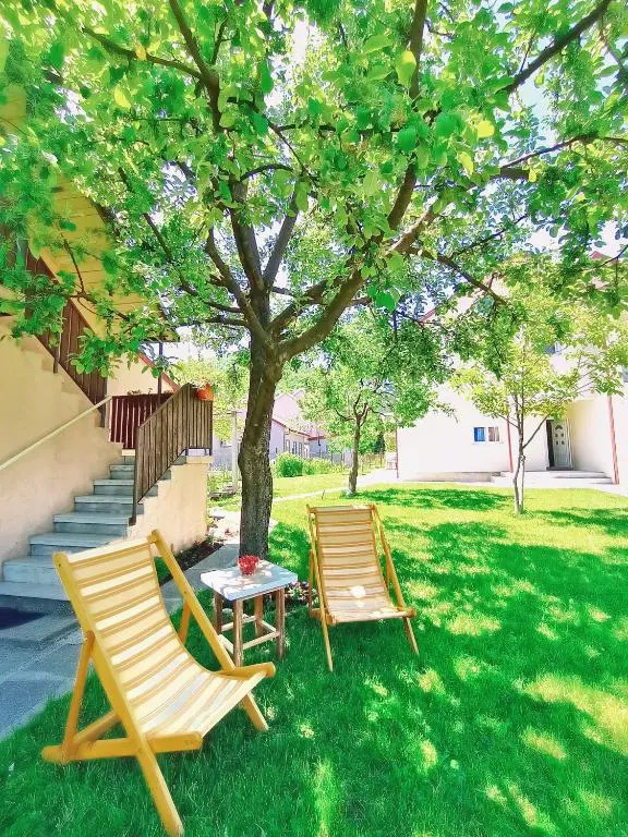 Apartments Gruda