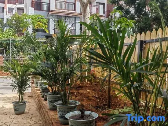 Guanlan Shiguang Homestay