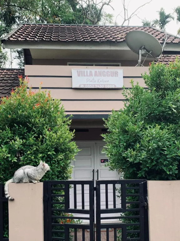 Vila Anggur Pintukabun