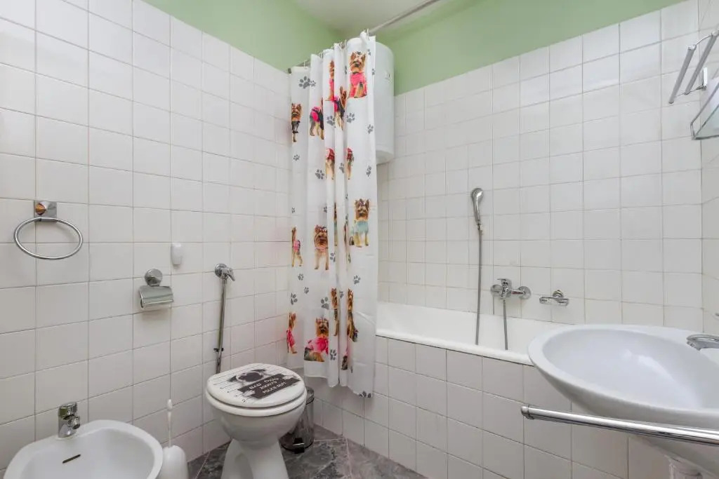Apartment Ankora
